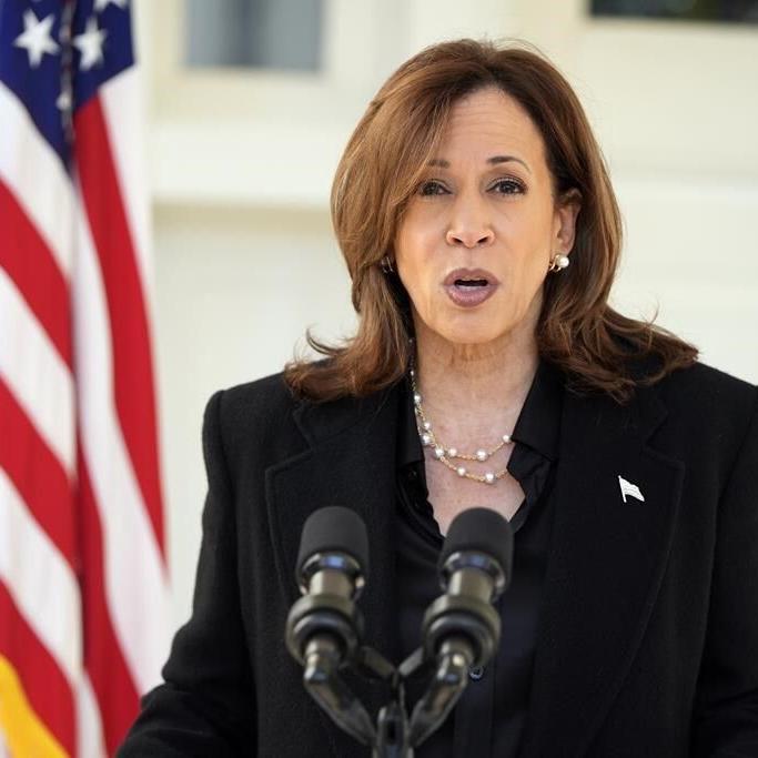 Majority of ɫtvs would vote for Kamala Harris in U.S. election: poll